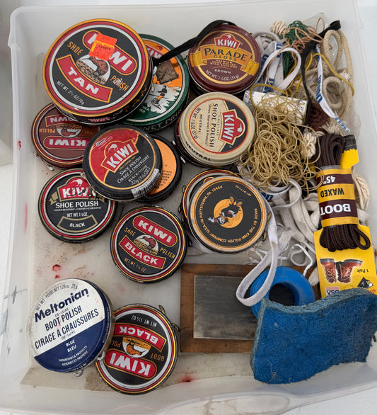 Shoe shine products